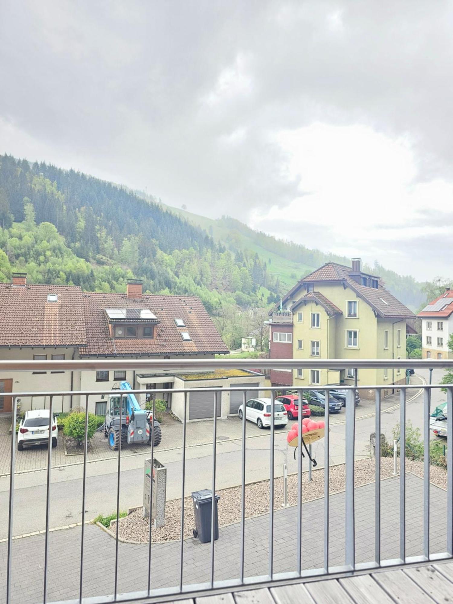 Black Forest I Sauna Auf Dem Balkon I Boxspring I Nespresso I Ausblick I Wasserfaelle Im Ort Todtnau Exterior foto